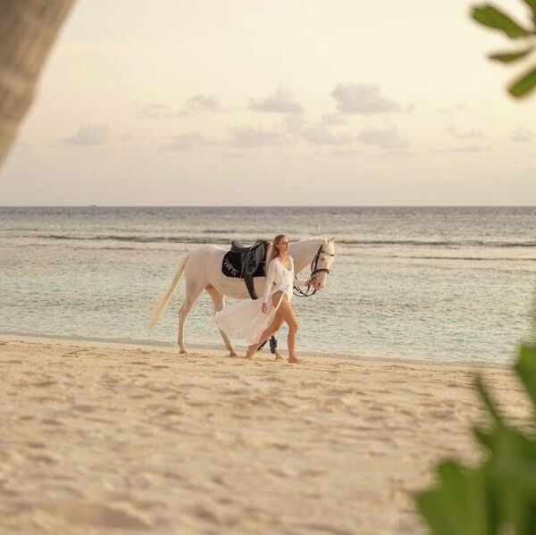 Мальдивы. В Siyam World Maldives есть ранчо и лошади Мальдивы. В Siyam World Maldives есть ранчо и лошади