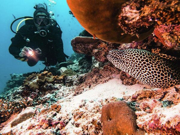 Туристы могут наблюдать за рыбами в Sun Siyam Iru Fushi Туристы могут наблюдать за рыбами в Sun Siyam Iru Fushi