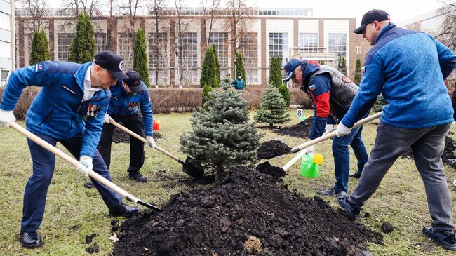 Аллею Славы в честь участников СВО открыли в подмосковных Химках 
