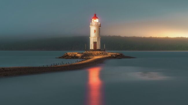 Фотография Наталии Поляковой Токаревская кошка