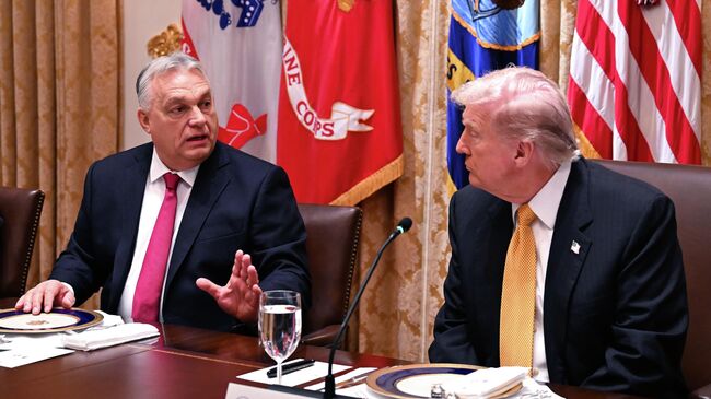 Президент США Дональд Трамп и премьер-министр Венгрии Виктор Орбан во время встречи