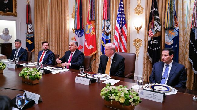 Президент США Дональд Трамп и премьер-министр Венгрии Виктор Орбан во время встречи