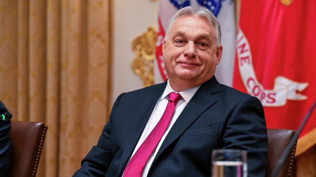 Премьер-министр Венгрии Виктор Орбан во время встречи с президентом США Дональдом Трампом