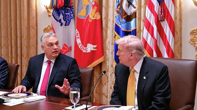 Президент США Дональд Трамп и премьер-министр Венгрии Виктор Орбан во время встречи