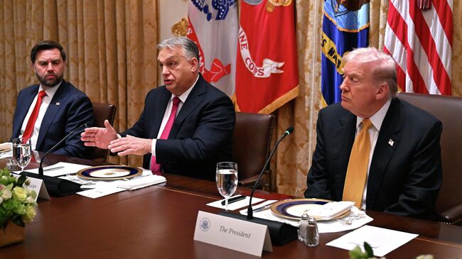 Президент США Дональд Трамп и премьер-министр Венгрии Виктор Орбан во время встречи