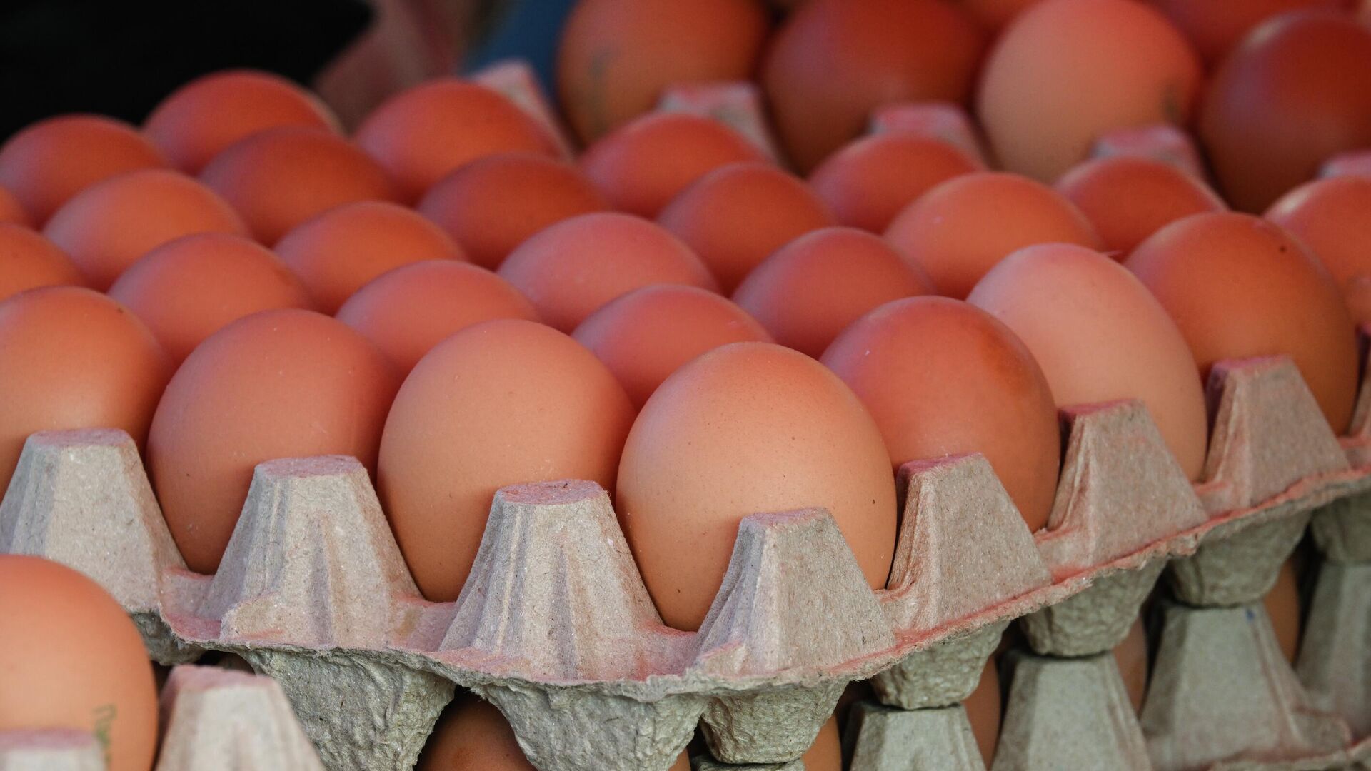 Куриные яйца - РИА Новости, 1920, 22.12.2025
