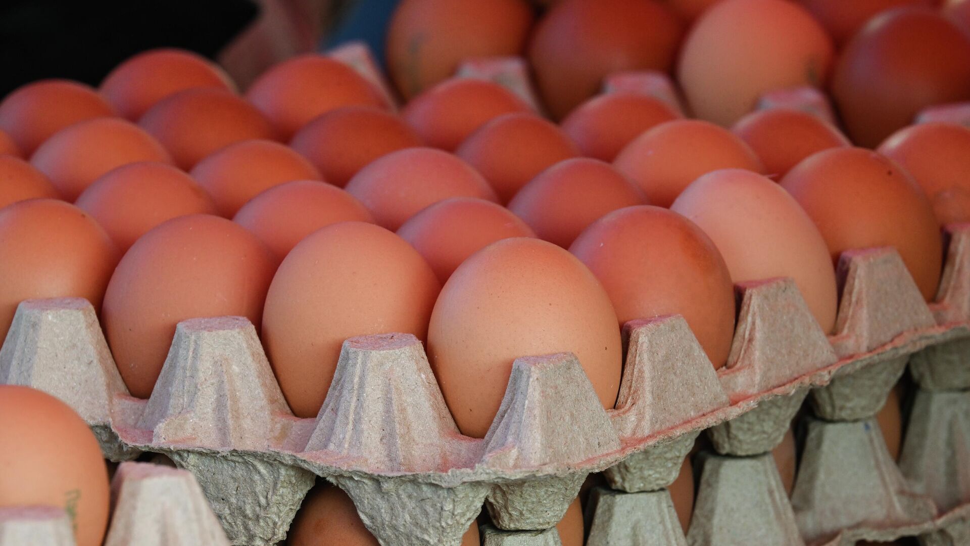 Куриные яйца - РИА Новости, 1920, 19.12.2025