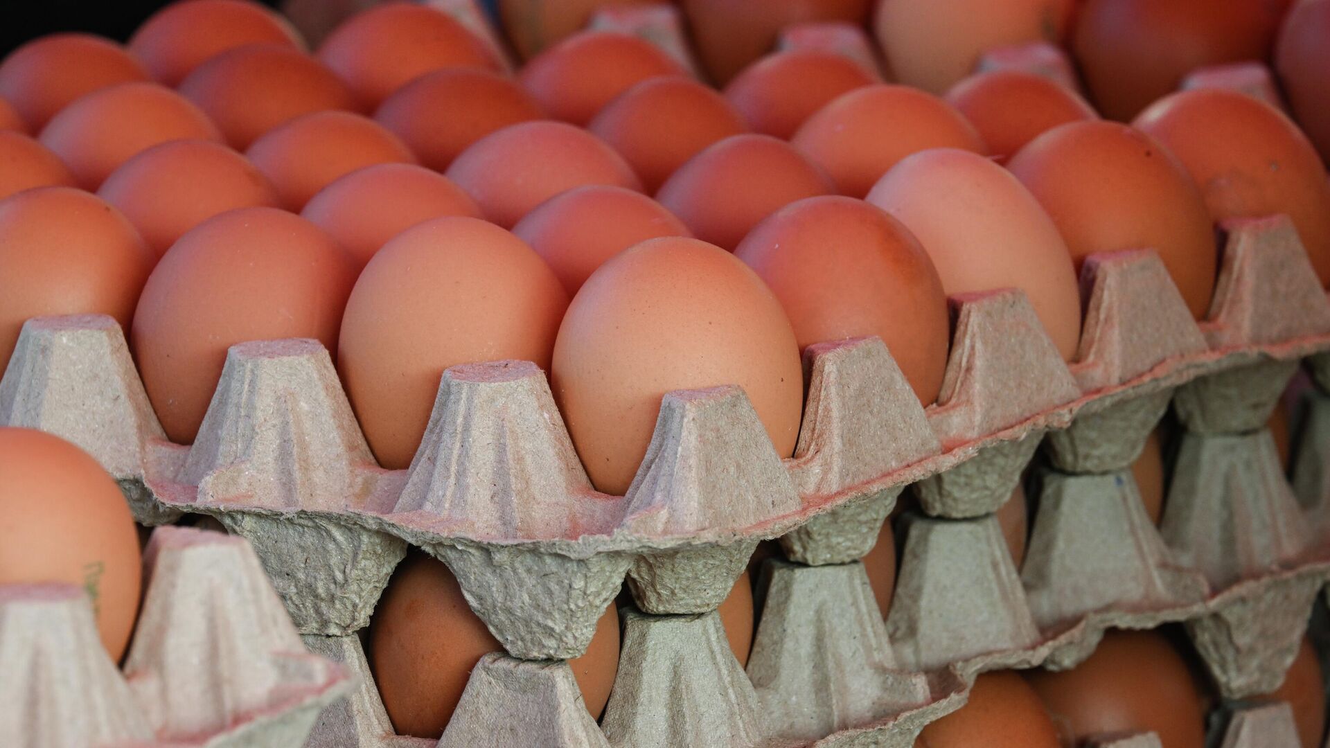 Яйца - РИА Новости, 1920, 12.12.2025