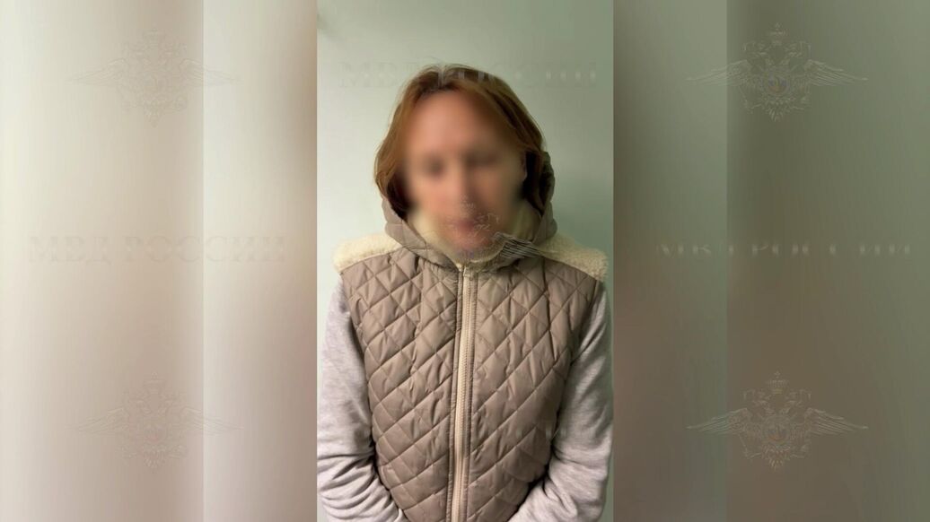 Пенсионерка, толкнувшая девочку в московском метро, не признала вину