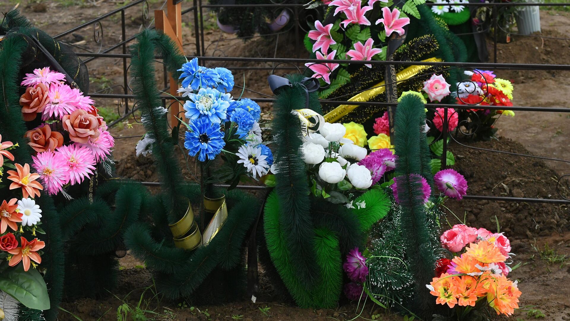 Кладбище - РИА Новости, 1920, 21.12.2025