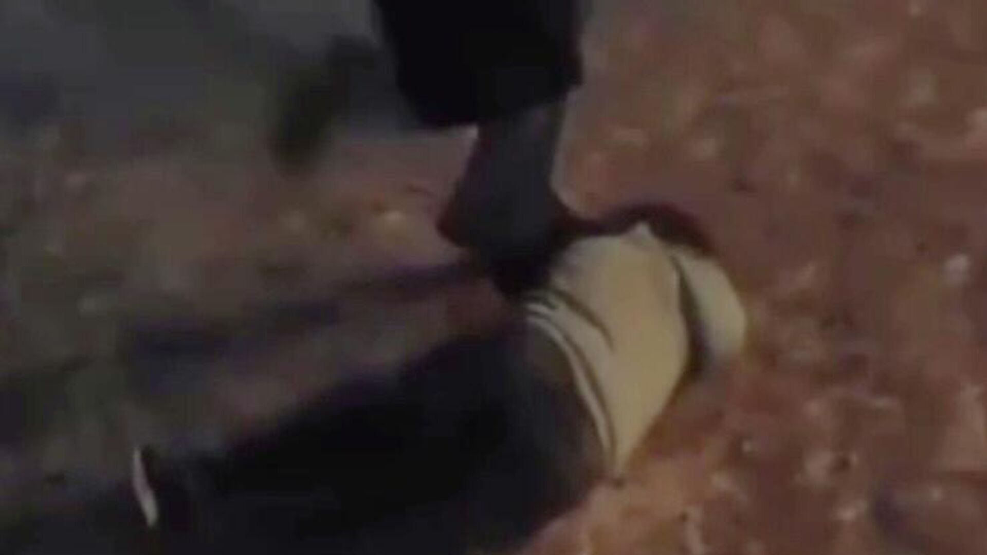 Кадр видео, на котором девочки-подростки избивают женщину в Биробиджане Кадр видео, на котором девочки-подростки избивают женщину в Биробиджане - РИА Новости, 1920, 13.11.2025