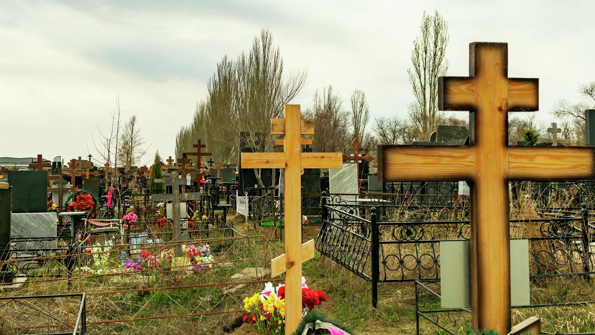 Кладбище - РИА Новости, 1920, 13.11.2025