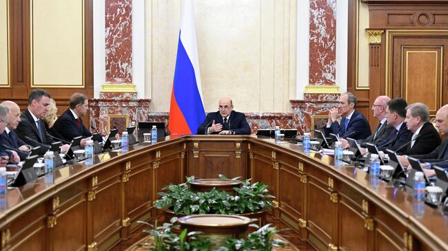 Премьер Михаил Мишустин на заседании правительства