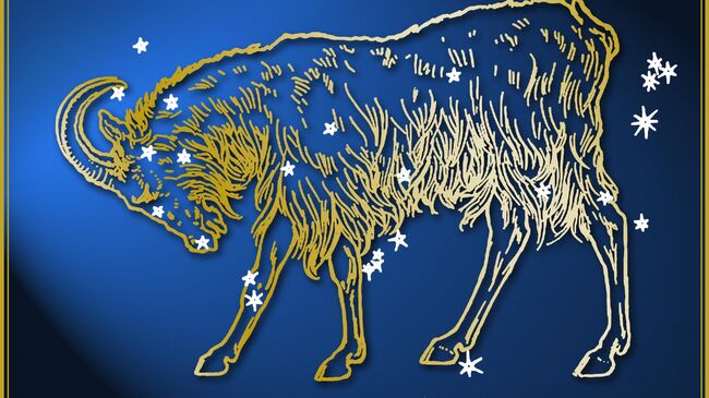 Знак зодиака Козерог