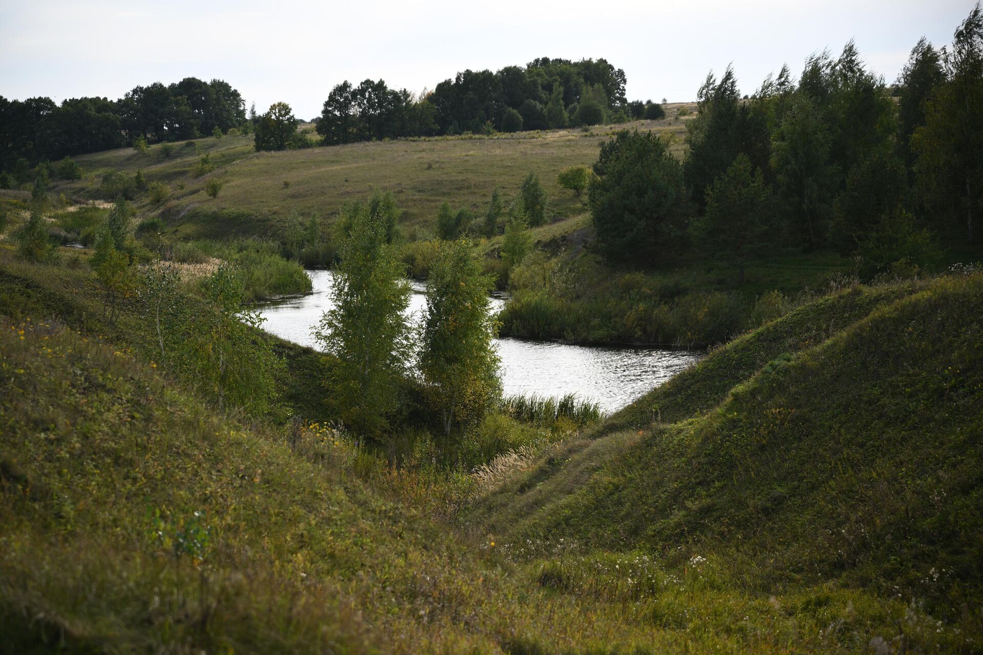 На Куликовом поле нашли свидетеля юрского периода