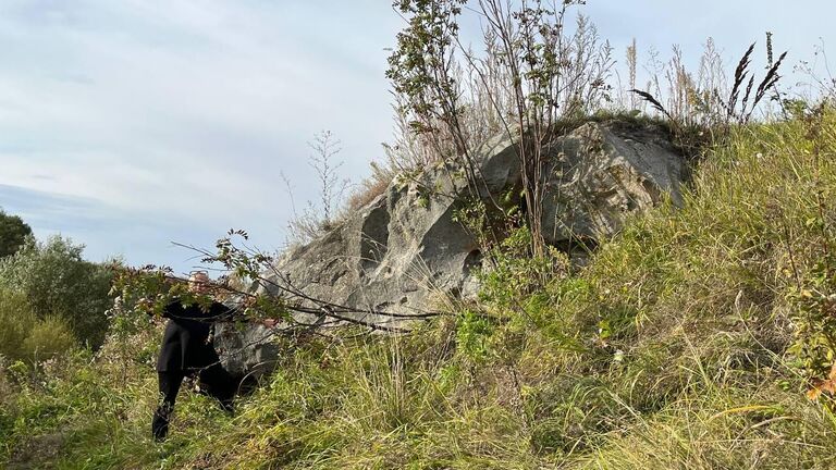 На Куликовом поле нашли свидетеля юрского периода