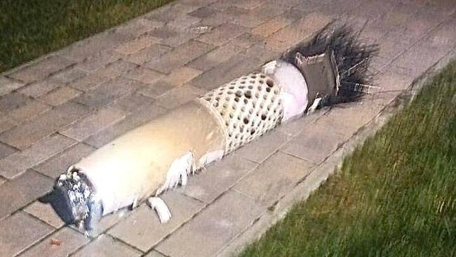 Фотография, опубликованная депутатом Верховной рады Украины Александром Федиенко Фотография, опубликованная депутатом Верховной рады Украины Александром Федиенко