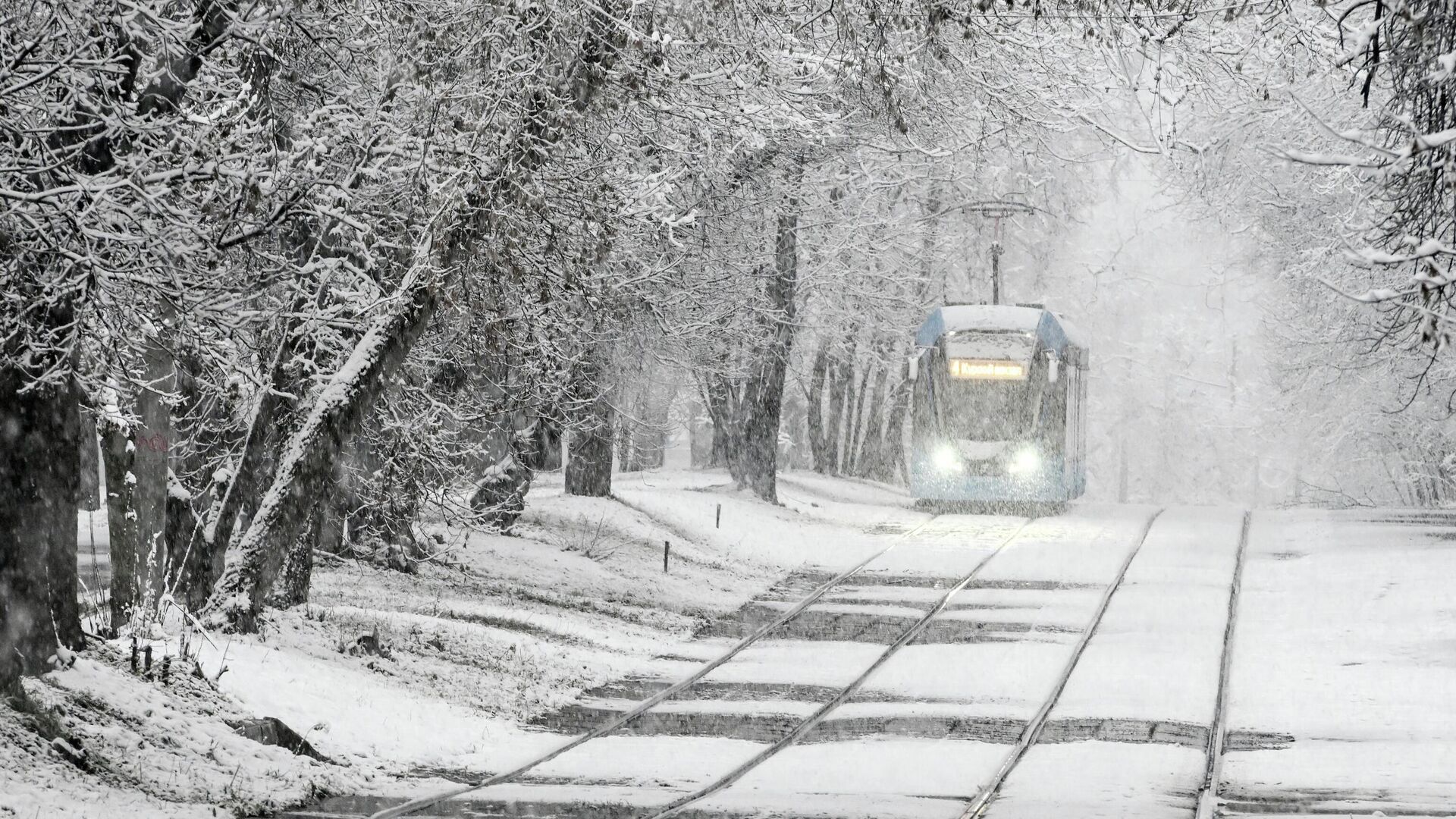 Снегопад в Москве - РИА Новости, 1920, 15.11.2025