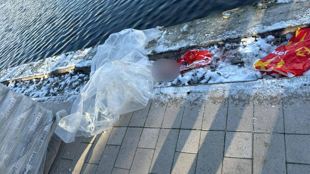 В Гольяновском пруду на востоке Москвы нашли останки ребенка В Гольяновском пруду на востоке Москвы нашли останки ребенка