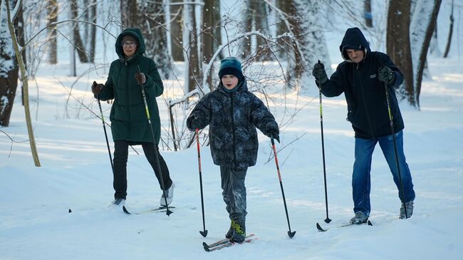 Люди катаются на лыжах в парке