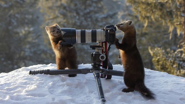 Мастер-класс по фотоискусству