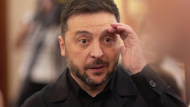 Владимир Зеленский во время визита в Конгресс депутатов Испании в Мадриде