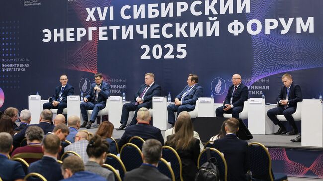 Стратегию развития энергетики представили на Красноярском форуме