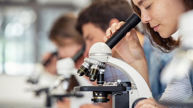 Ученики во время урока биологии