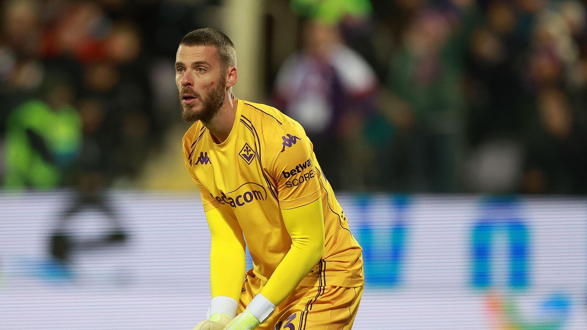 Давид де Хеа - РИА Новости, 1920, 22.11.2025