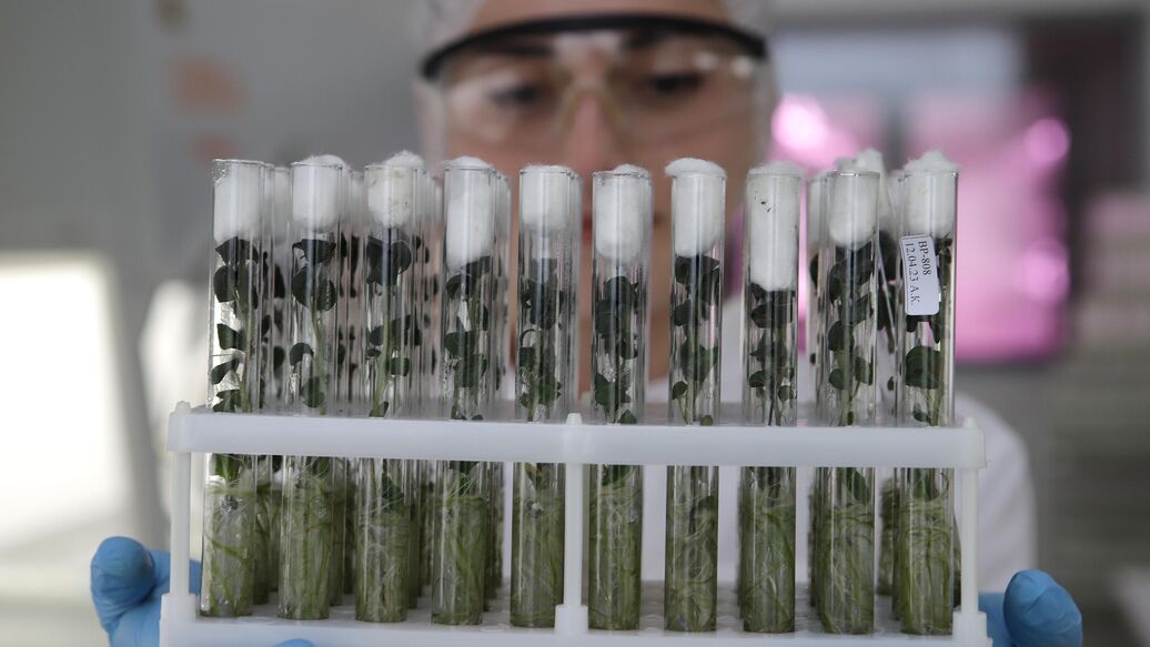 Эксперт рассказал, как решить кадровую проблему в АПК России