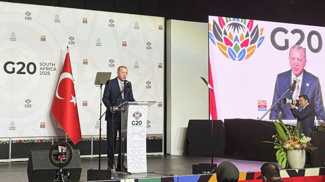 Президент Турции Реджеп Тайип Эрдоган выступает на саммите G20 в Южно-Африканской Республике