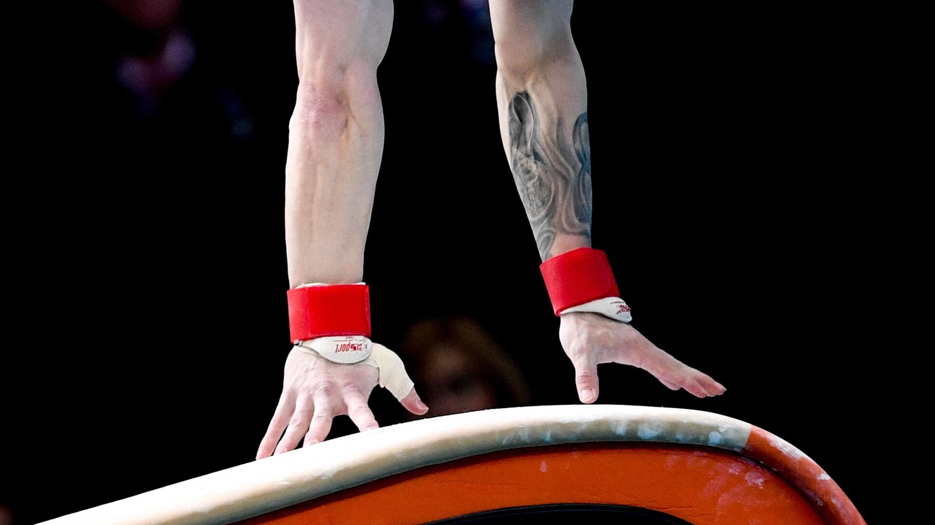 Спортивная гимнастика - РИА Новости, 1920, 24.11.2025