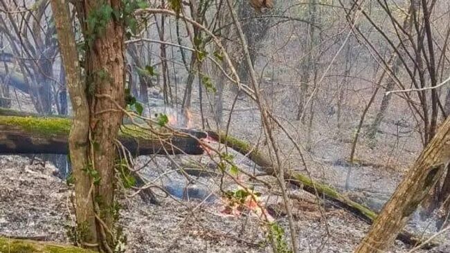 Лесной пожар в геленджикском селе Михайловский Перевал