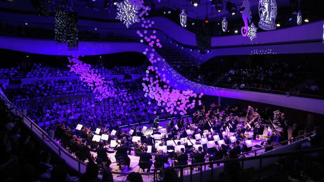 Новогодний концерт в Зале Зарядье