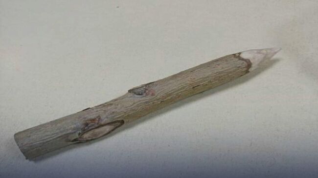 Осиновый кол, который омичка пыталась пронести на судебное заседание