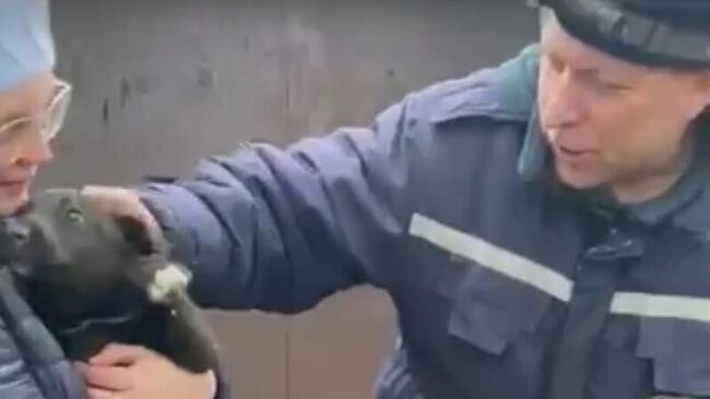 Сотрудники Мордовской республиканской аварийно-спасательной службы освободили щенка, застрявшего в щели между двумя гаражами в Саранске