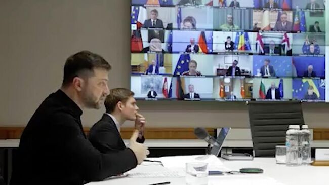 Кадр трансляции видеоконференции коалиции желающих