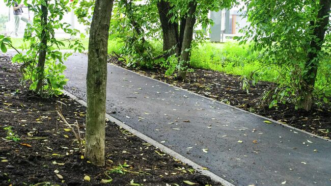 В Химках благоустроили 22 народные тропы в 2025 году