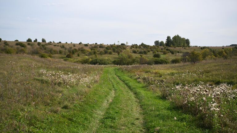 Наш ответ ВОЗ. Ученые заявили о пользе русской природы в борьбе с неврозами