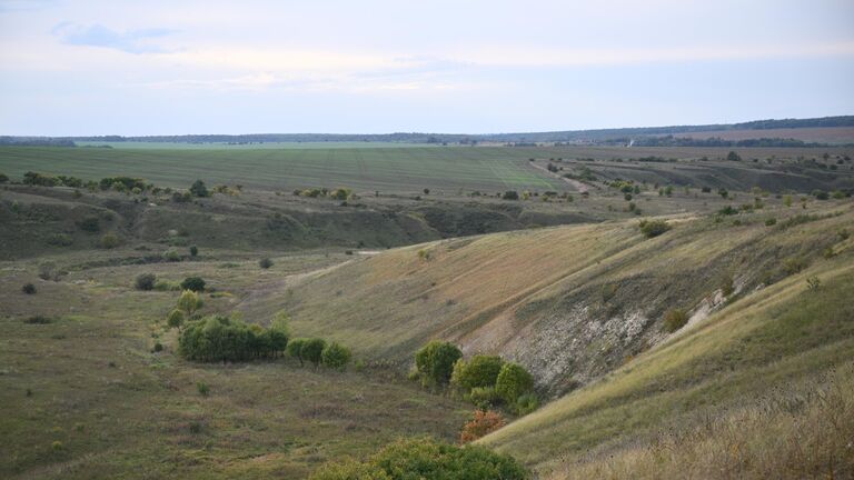 Наш ответ ВОЗ. Ученые заявили о пользе русской природы в борьбе с неврозами