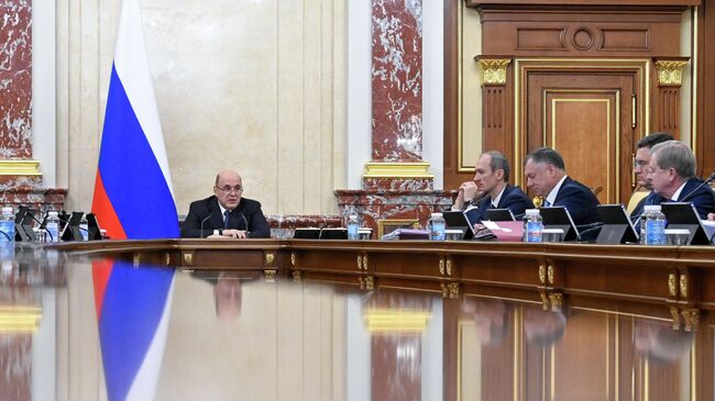 Председатель правительства РФ Михаил Мишустин проводит заседание кабинета министров РФ