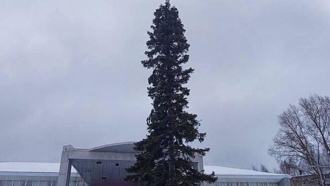 Новогодняя ёлка, установленная в Березовском Кемеровской области