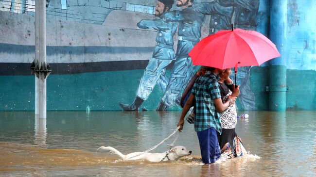 Последствия тропического циклона Дитвах на Шри-Ланке