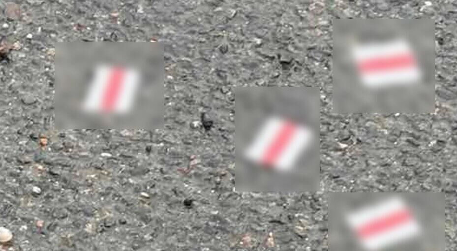 С упавшего в Гродно беспилотника сбросили печатную продукцию экстремистской направленности С упавшего в Гродно беспилотника сбросили печатную продукцию экстремистской направленности - РИА Новости, 1920, 01.12.2025