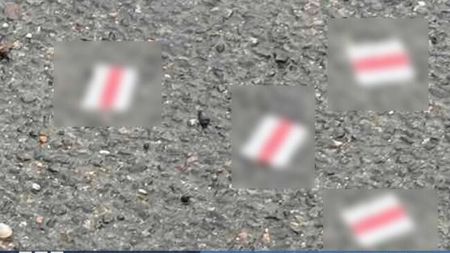 С упавшего в Гродно беспилотника сбросили печатную продукцию экстремистской направленности