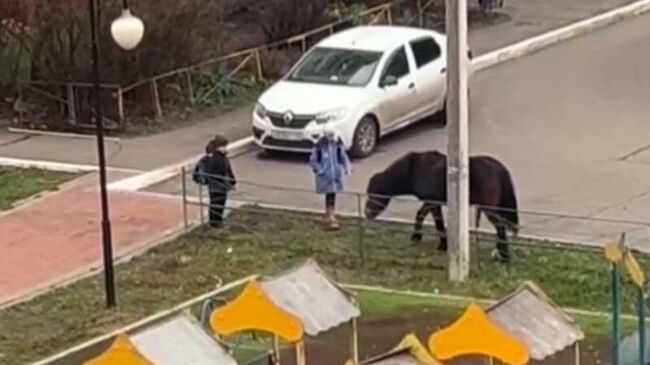 Лошадь сбила с ног ребенка на детской площадке в Брянске