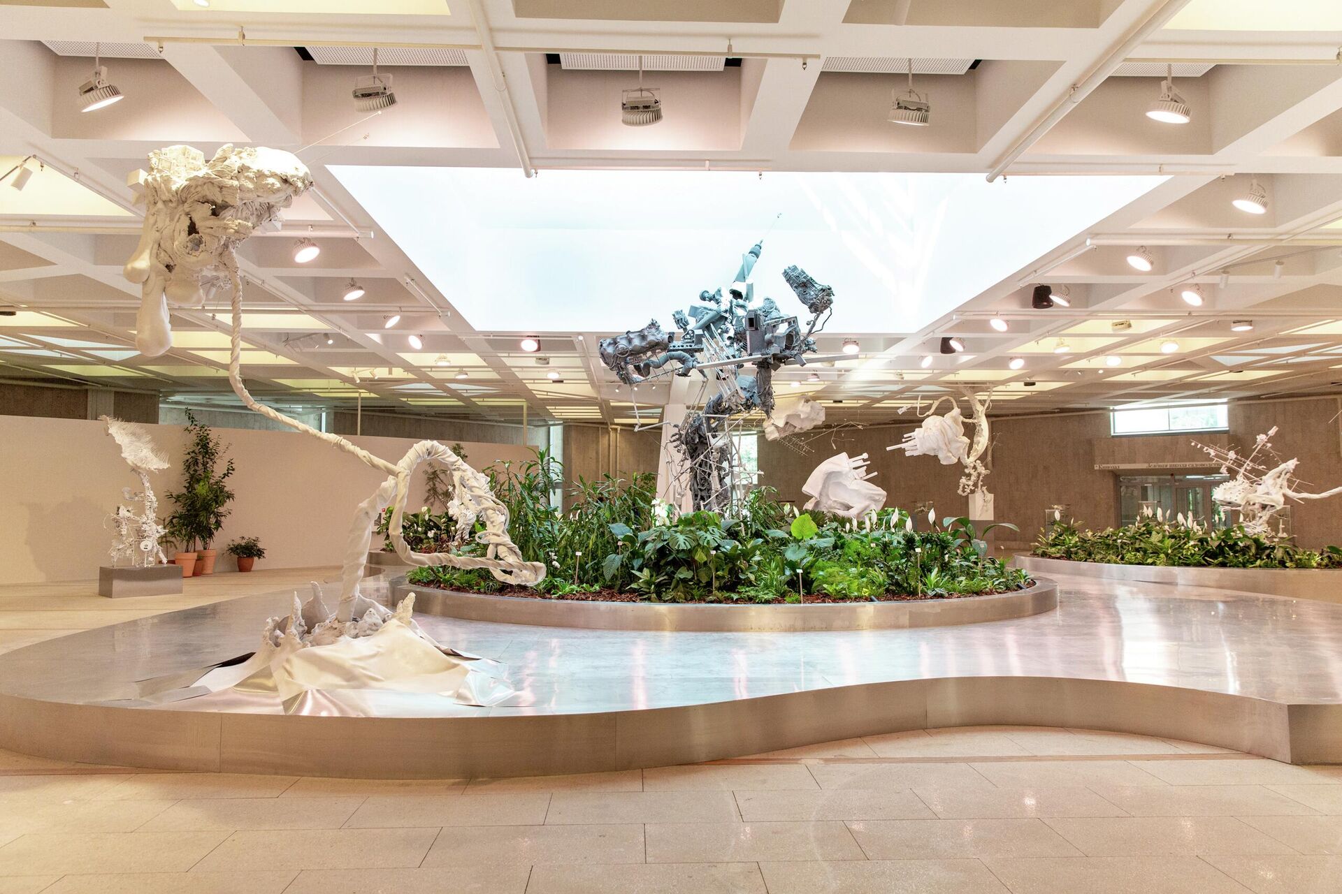 Морфогенез. Третья природа Морфогенез. Третья природа - РИА Новости, 1920, 06.12.2025