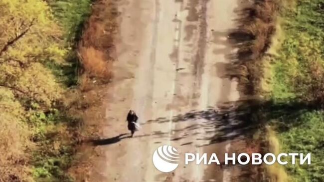 Мирная жительница Красноармейска идет по дороге, которую показал российский дрон