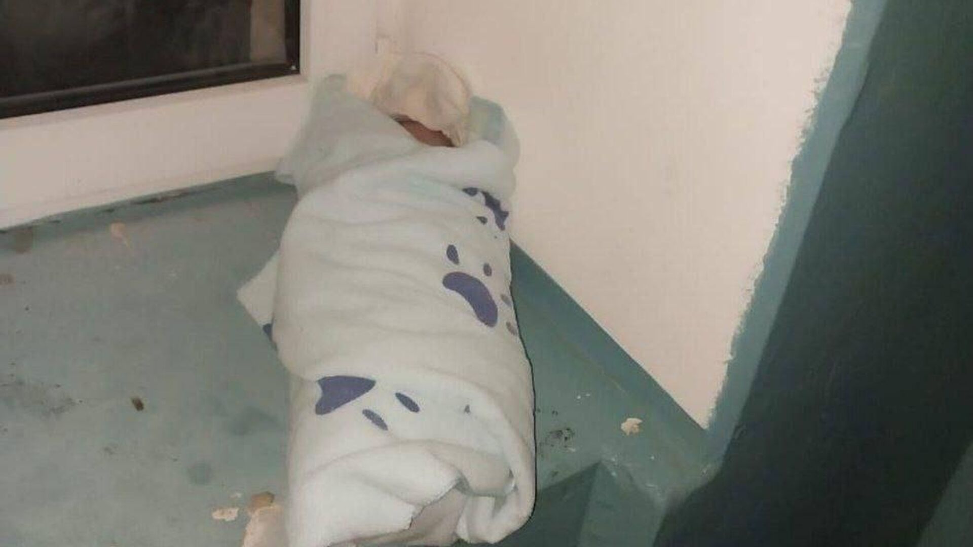 Новорожденный, найденный в подъезде жилого дома в Альметьевске - РИА Новости, 1920, 05.12.2025
