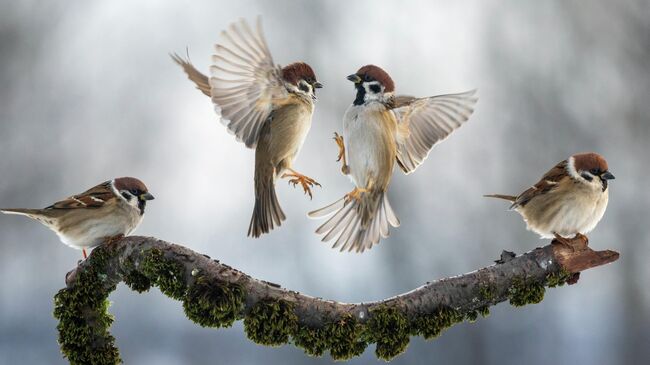 Бачкова Наталья, Динамика и статика Бачкова Наталья, Динамика и статика